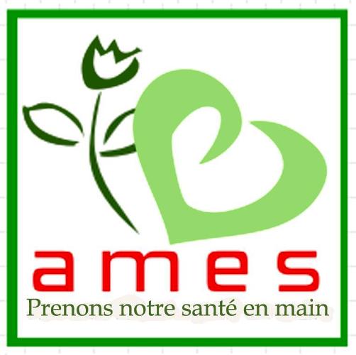Logo AMES